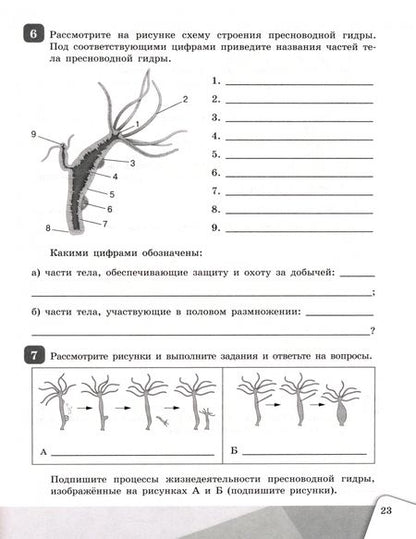 Фотография книги "Чередниченко, Сивоглазов: Биология. 7 класс. Рабочая тетрадь. ФГОС"