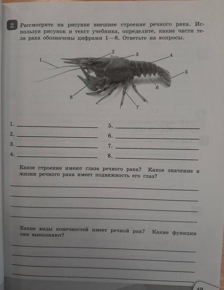 Фотография книги "Чередниченко, Сивоглазов: Биология. 7 класс. Рабочая тетрадь. ФГОС"