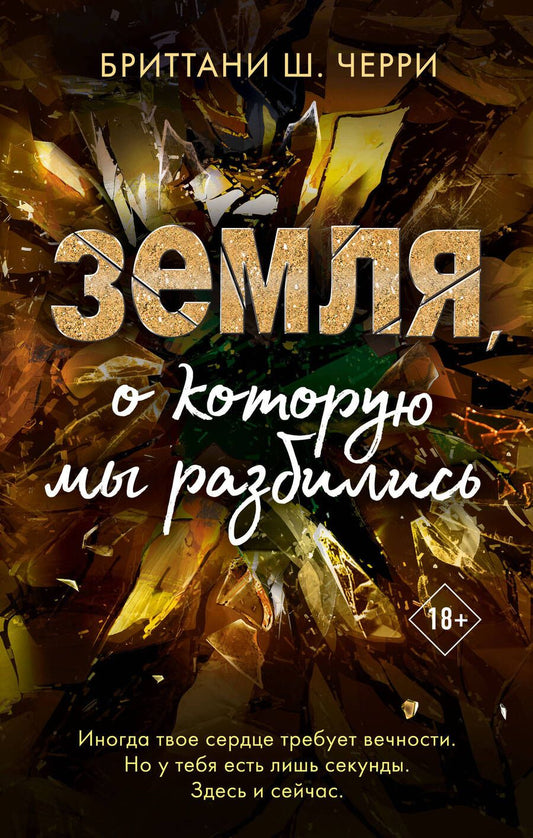 Обложка книги "Черри: Земля, о которую мы разбились"