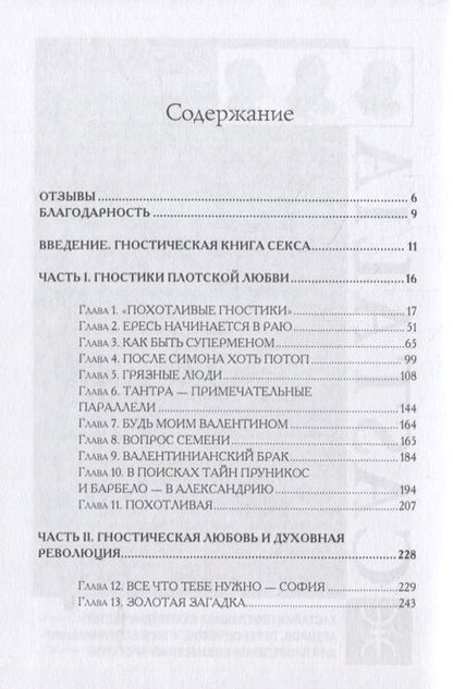Фотография книги "Чертон: Гностические мистерии плотской любви: София Дикая и эзотерическое христианство"