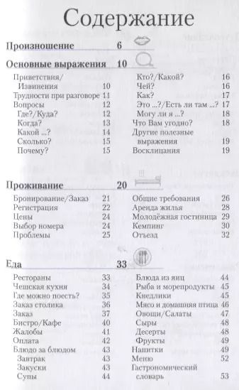 Фотография книги "Чешский разговорник и словарь. 6-е изд."