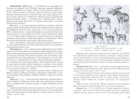 Фотография книги "Чикалев, Юлдашбаев, Родионов: Оленеводство. Учебник"