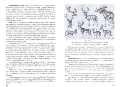 Фотография книги "Чикалев, Юлдашбаев, Родионов: Оленеводство. Учебник"