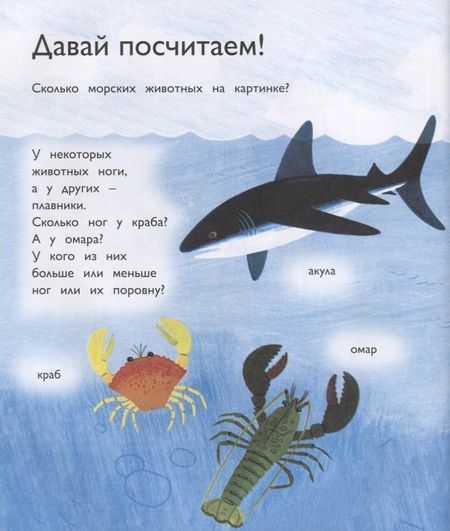 Фотография книги "Числа"
