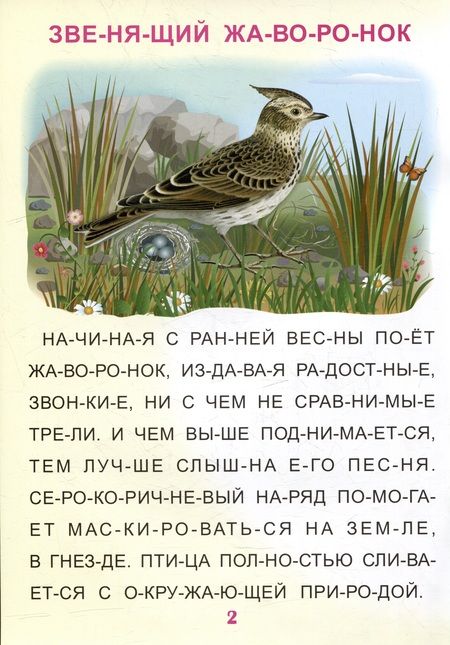 Фотография книги "Читаем по слогам. Крупные буквы. Читалочки-познавалочки. Рассказы"