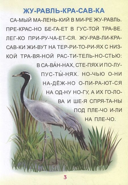 Фотография книги "Читаем по слогам. Крупные буквы. Читалочки-познавалочки. Рассказы"