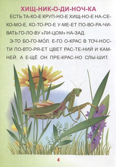 Фотография книги "Читаем по слогам. Крупные буквы. Читалочки-познавалочки. Рассказы"