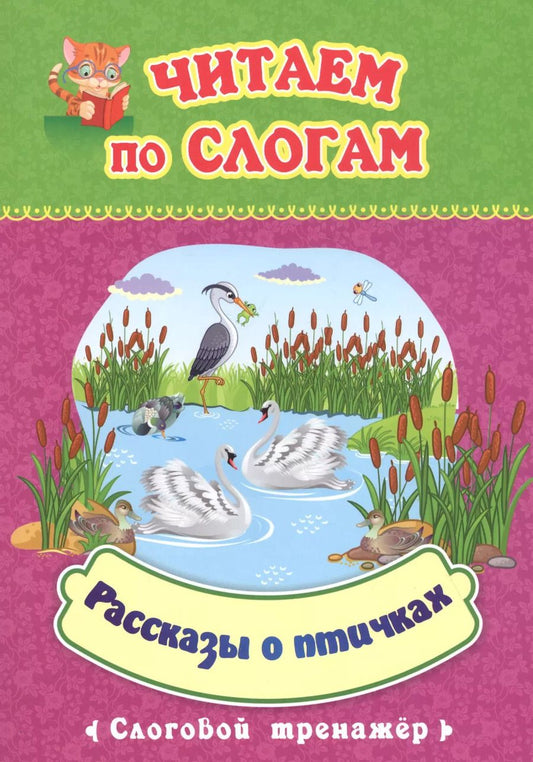 Обложка книги "Читаем по слогам. Рассказы о птичках. Слоговой тренажер"
