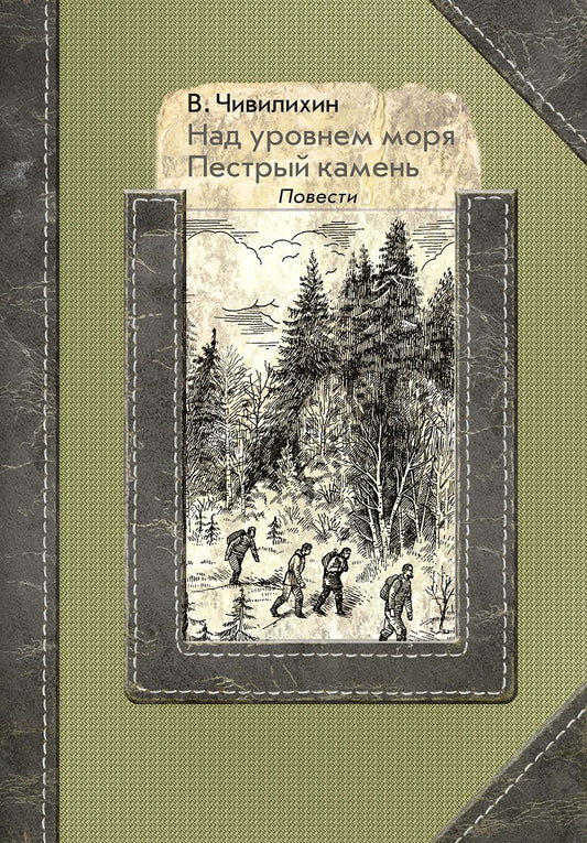 Обложка книги "Чивилихин: Над уровнем моря. Пестрый камень"