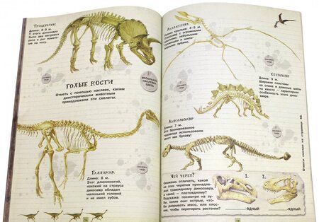 Фотография книги "Чизман: Занимательная зоология. Динозавры"