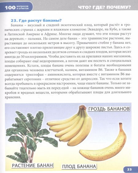 Фотография книги "Что? Где? Почему?"