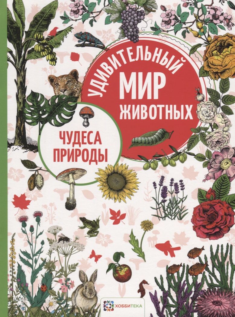 Обложка книги "Чудеса природы"