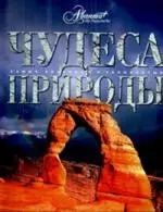 Обложка книги "Чудеса природы"