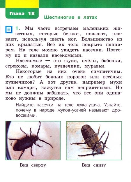 Фотография книги "Чудинова, Букварева: Окружающий мир. 1 класс. Учебное пособие. В 2-х частях. ФГОС"