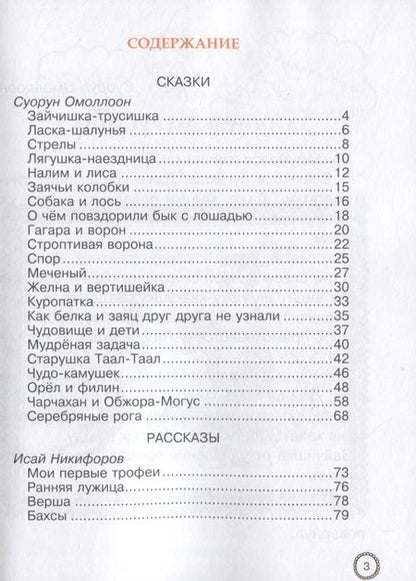 Фотография книги "Чудо-камушек"