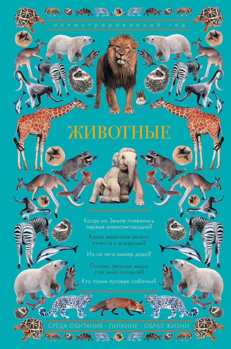 Обложка книги "Чудова: Животные. Иллюстрированный гид"