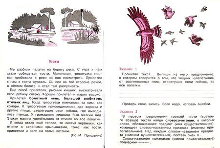 Фотография книги "Чуракова, Лаврова, Ямшинина: Итоговая комплексная работа на основе единого текста. 2 класс. ФГОС"