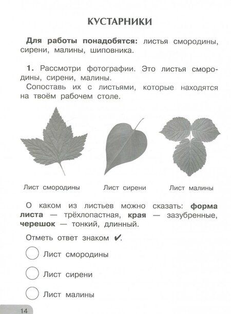 Фотография книги "Чуракова, Янычева: Окружающий мир. 1 класс. Тетрадь для внеурочной деятельности. Изучаем природу родного края"