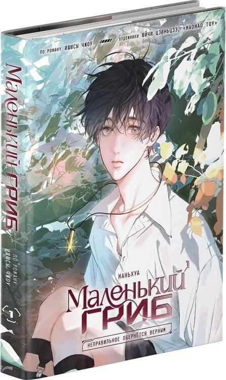 Фотография книги "Чжоу Ишисы: Маленький гриб. Том 1 (Little Mushroom). Маньхуа"