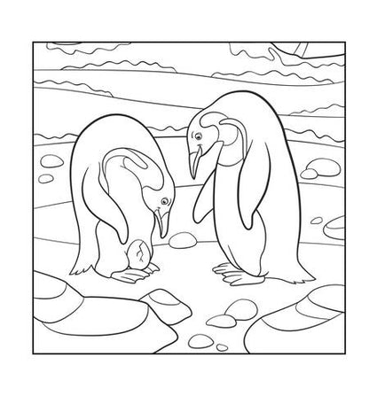 Фотография книги "Д. Филатова: Пингвины. Рисунки для медитаций"