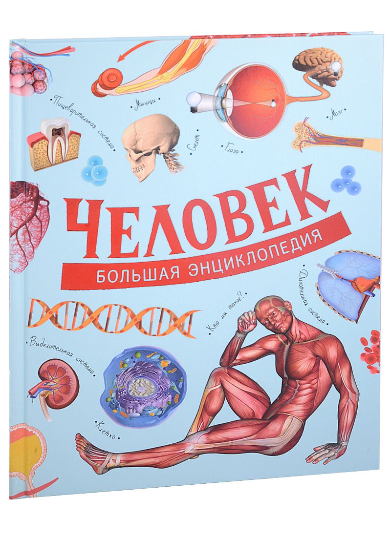 Обложка книги "Д. Маттарэлли: Человек. Большая энциклопедия"