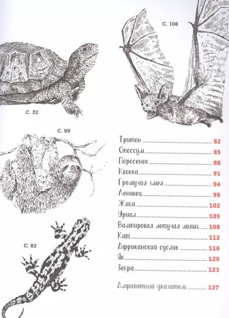 Фотография книги "Д. Миллер: Рисуем животных ручками и маркерами. 26 реалистичных проектов"
