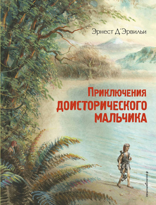Обложка книги "Д'Эрвильи: Приключения доисторического мальчика"