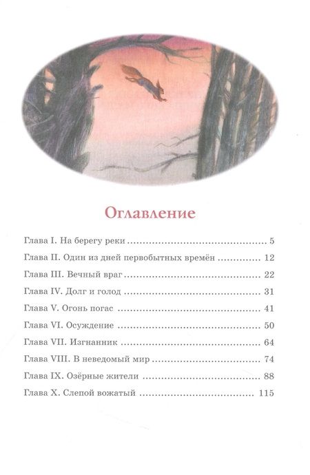 Фотография книги "Д`Эрвильи: Приключения доисторического мальчика"