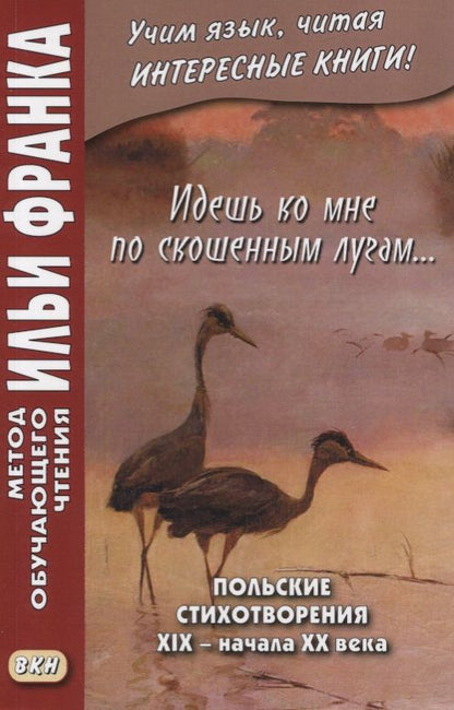 Обложка книги "Дачевская-Рапацкая Лариса: Идешь ко мне по скошенным лугам… Польские стихотворения XIX — начала XX века"