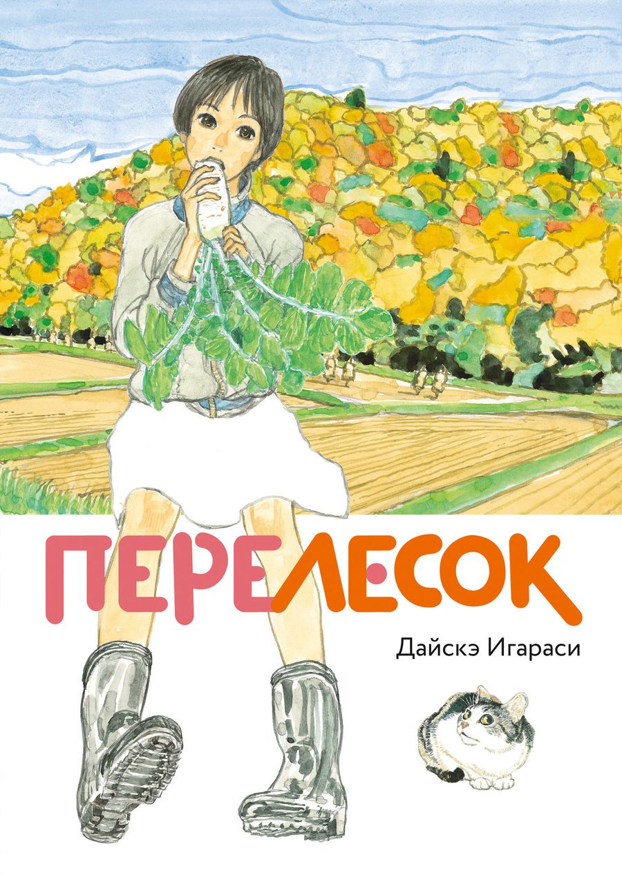 Обложка книги "Дайскэ Игараси: Перелесок"