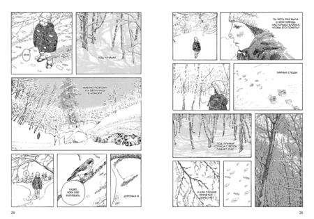 Фотография книги "Дайскэ Игараси: Перелесок"
