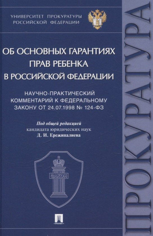 Обложка книги "Дамир Ильдарович: Научно-практический комментарий к Федеральному закону от 24.07.1998 № 124-ФЗ «Об основных гарантиях прав ребенка в Российской Федерации»"