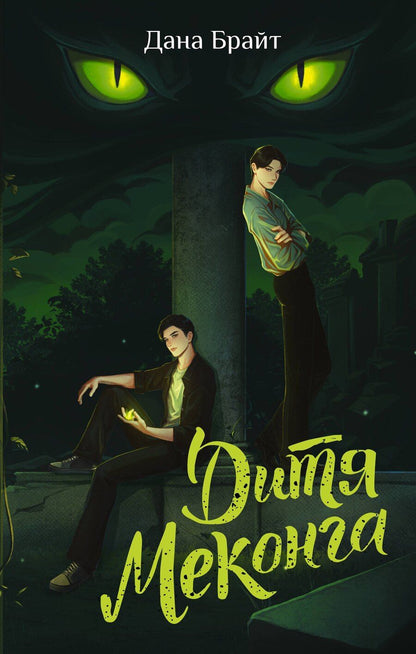 Обложка книги "Дана Брайт: Дитя Меконга"