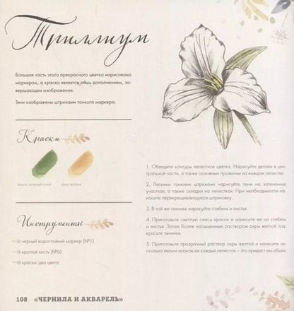 Фотография книги "Дана Фокс: Рисуем акварелью. Лес и его обитатели"