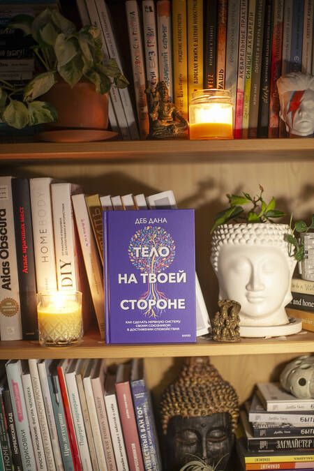 Фотография книги "Дана: Тело на твоей стороне. Как сделать нервную систему своим союзником в достижении спокойствия"