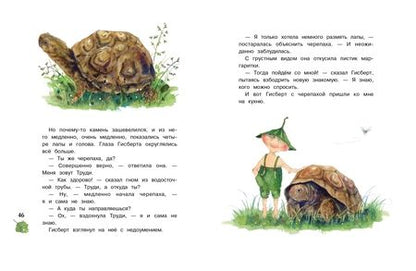 Фотография книги "Даниэла Дрешер: Гном из водосточной трубы. Журчащий ручеек"