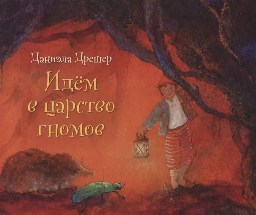 Обложка книги "Даниэла Дрешер: Идем в царство гномов"