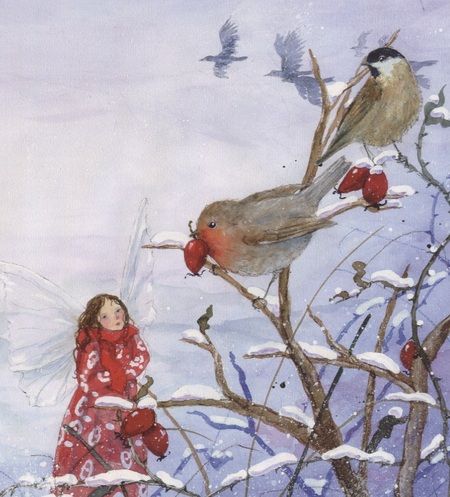 Фотография книги "Даниэла Дрешер: Маленькая фея празднует Рождество"