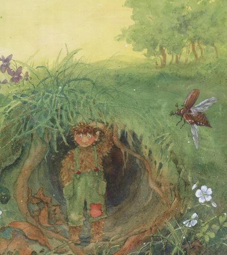 Фотография книги "Даниэла Дрешер: Сморчок, маленький тролль"