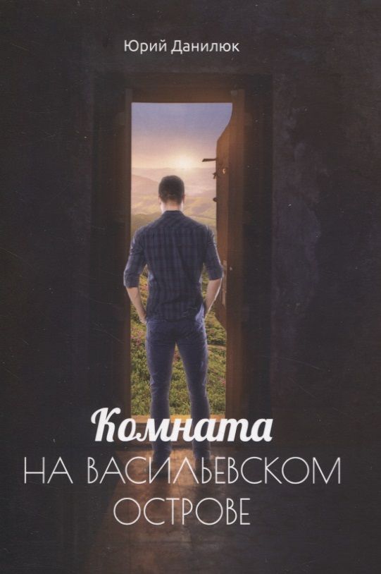 Обложка книги "Данилюк: Комната на Васильевском острове"