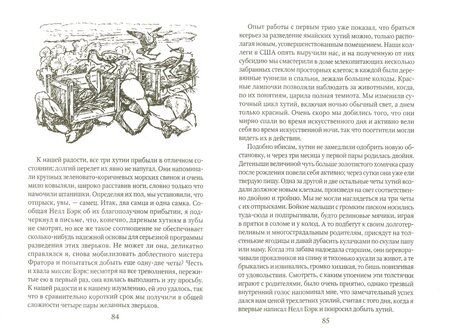 Фотография книги "Даррелл: Ковчег на острове"