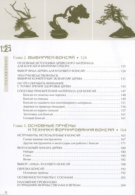 Фотография книги "Дарусенков: Бонсай. Маленькие деревья для большой радости"