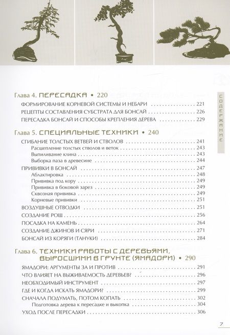 Фотография книги "Дарусенков: Бонсай. Маленькие деревья для большой радости"