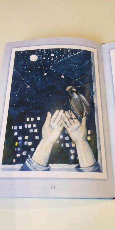 Фотография книги "Дарья Черкашина: Светлячок, который не поместился в банку"