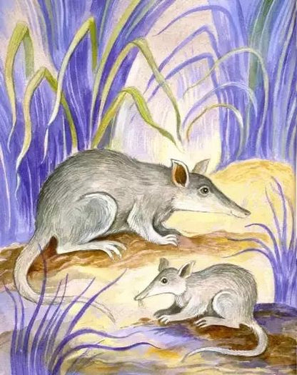 Фотография книги "Дарья Герасимова: Необыкновенные звери"