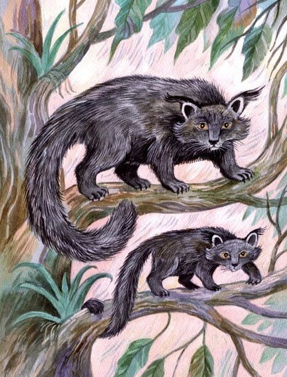 Фотография книги "Дарья Герасимова: Удивительные звери"