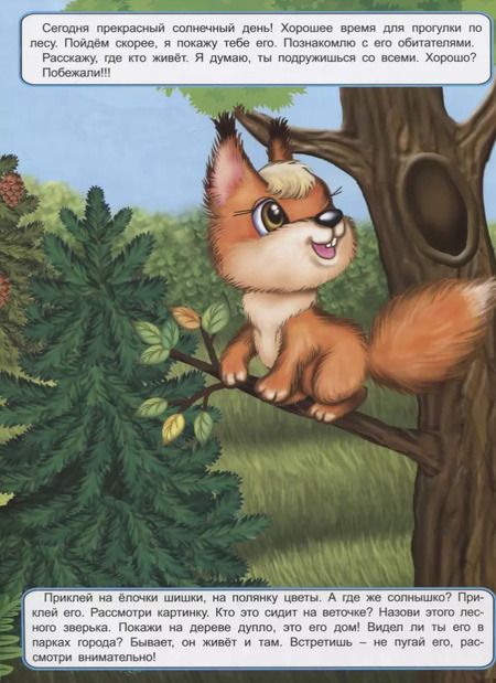 Фотография книги "Дарья Морозова: Мои лесные прогулки. Книжка с многоразовыми наклейками"