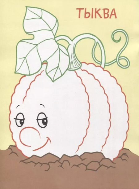 Фотография книги "Дарья Морозова: Мой огород. Раскраски с цветным контуром"