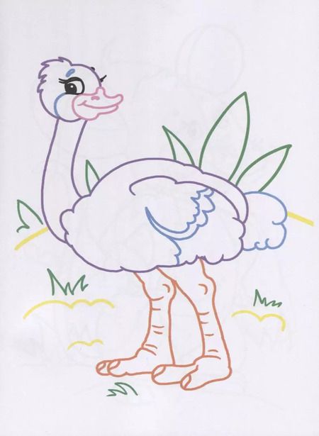 Фотография книги "Дарья Морозова: Звери со всего света. Раскраски с цветным контуром"