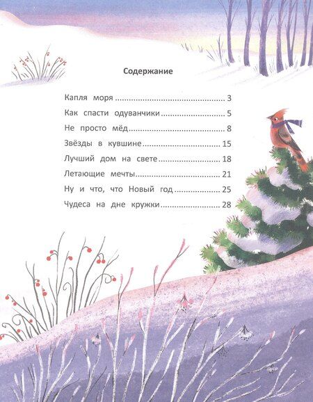 Фотография книги "Дарья Плаксунова: Звезды в кувшине"